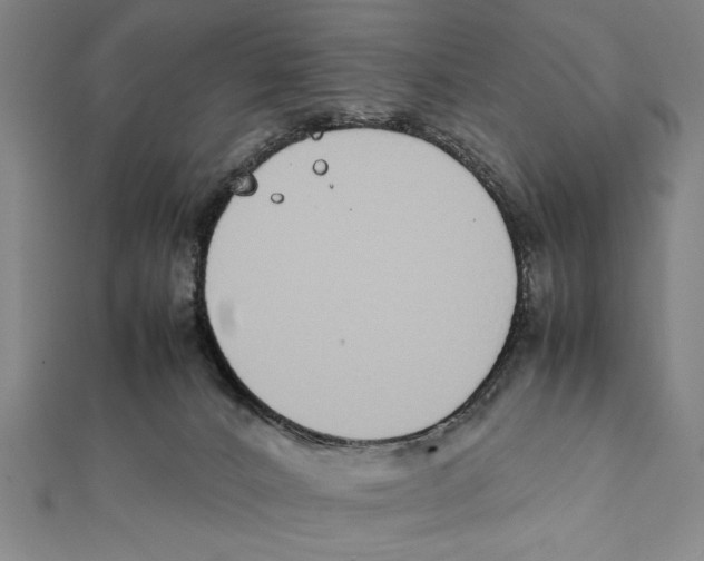 X0000111780032200908201119