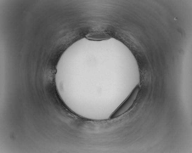 X0000111780033200908201119