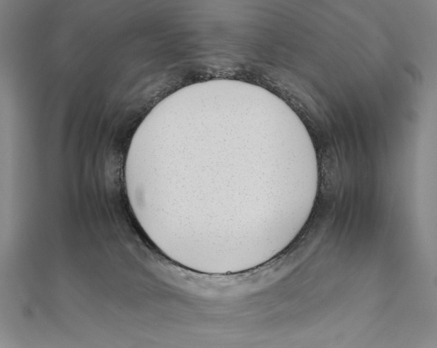 X0000111780034200908201119