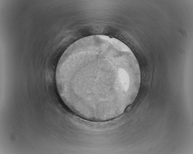 X0000111780035200908201119