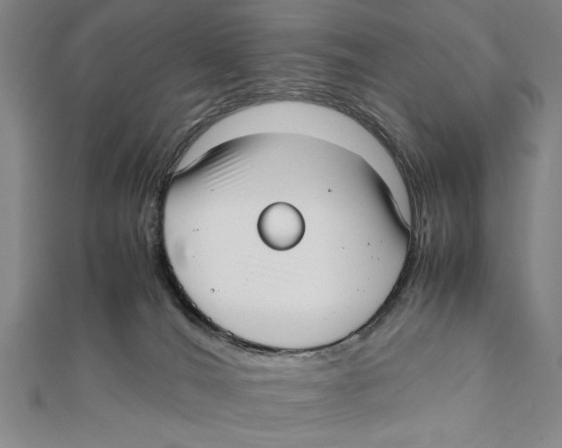 X0000111780036200908201119