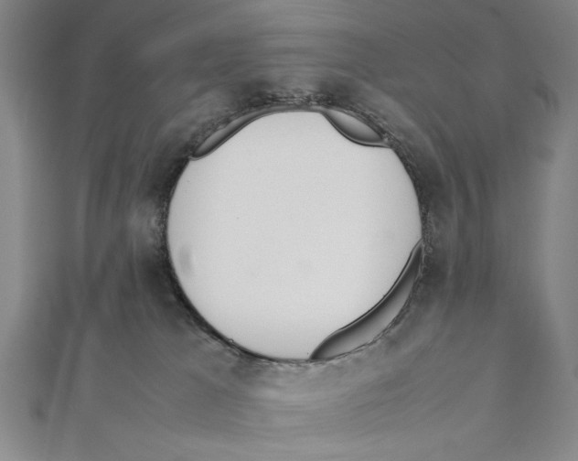 X0000111780037200908201119
