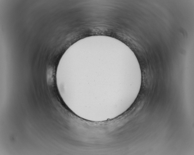 X0000111780038200908201119