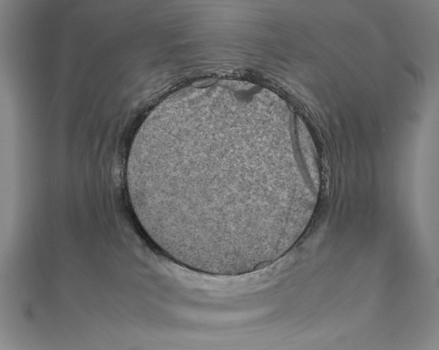 X0000111780039200908201119