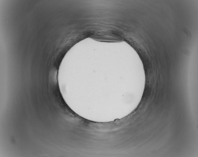 X0000111780041200908201119