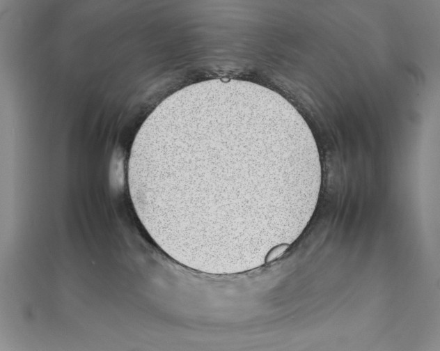 X0000111780042200908201119