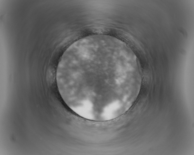 X0000111780043200908201119