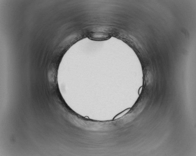 X0000111780044200908201119