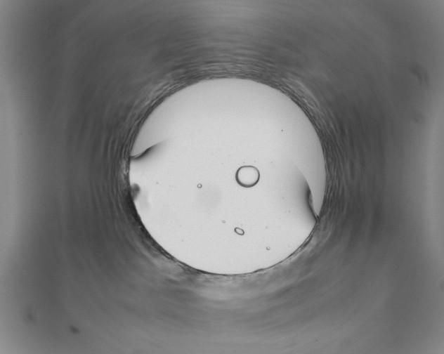 X0000111780045200908201119