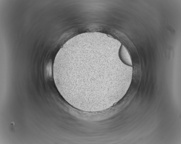 X0000111780046200908201119