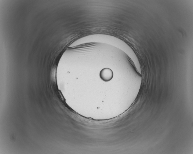 X0000111780047200908201119