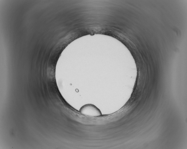 X0000111780048200908201119