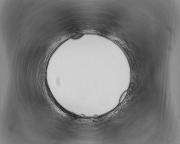 X0000111780049200908201118