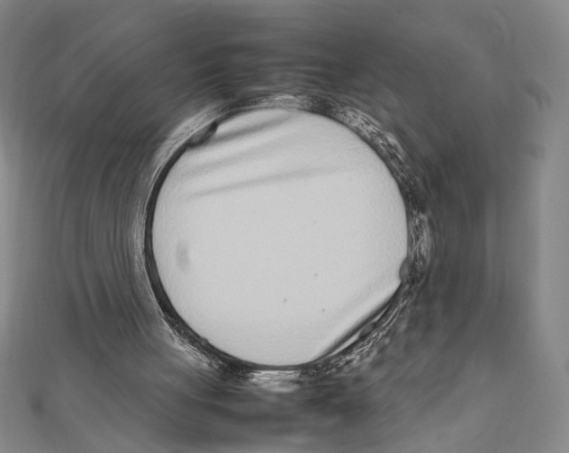 X0000111780051200908201118