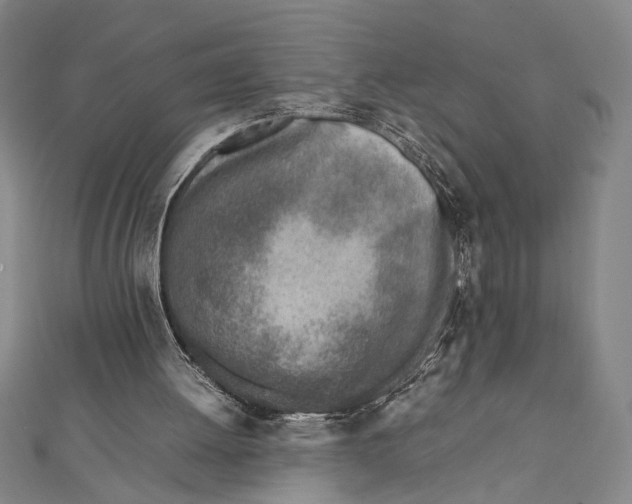 X0000111780052200908201118