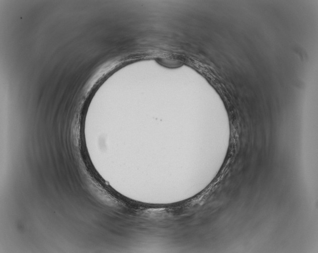 X0000111780054200908201118