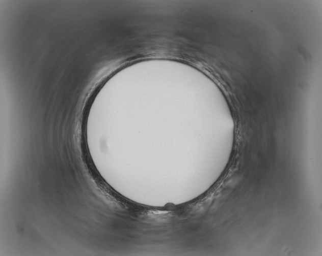 X0000111780055200908201118