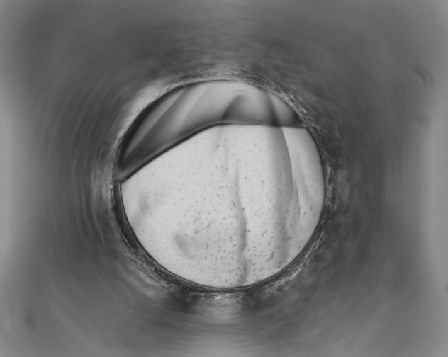 X0000111780056200908201118
