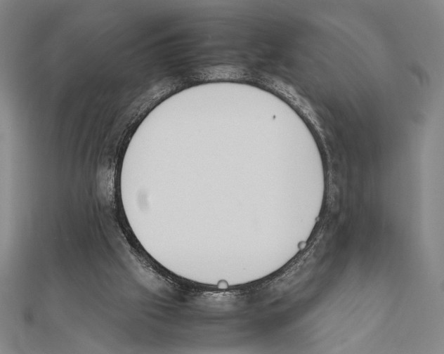 X0000111780057200908201118