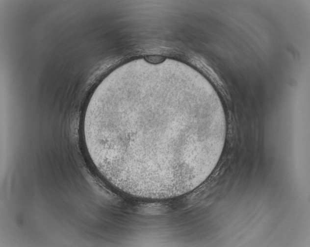 X0000111780058200908201118