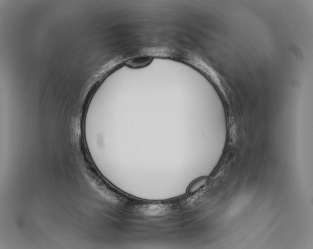 X0000111780059200908201118