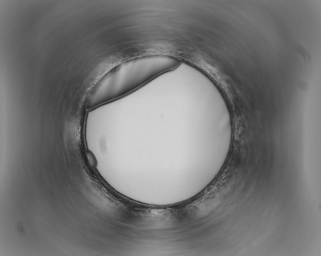 X0000111780060200908201118