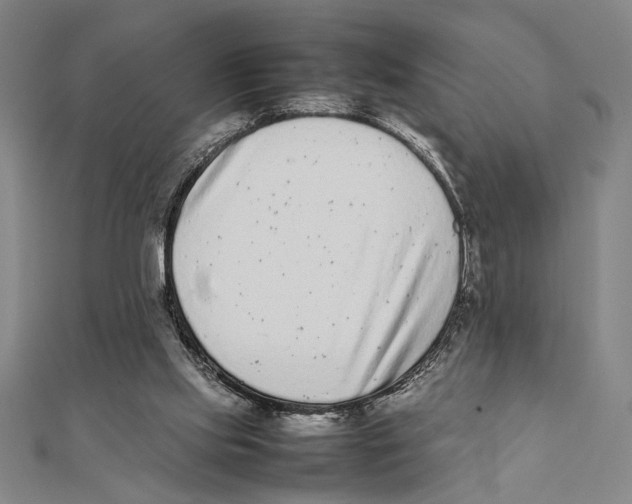 X0000111780061200908201118