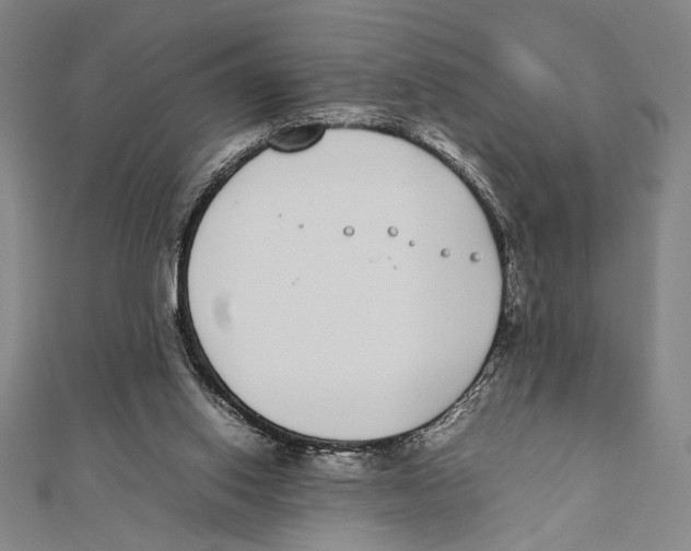 X0000111780062200908201118