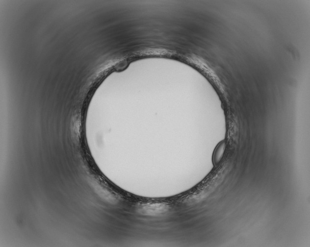 X0000111780063200908201118