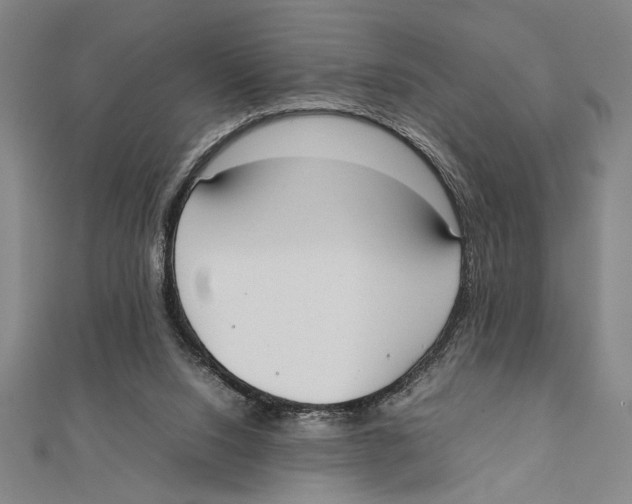 X0000111780064200908201118