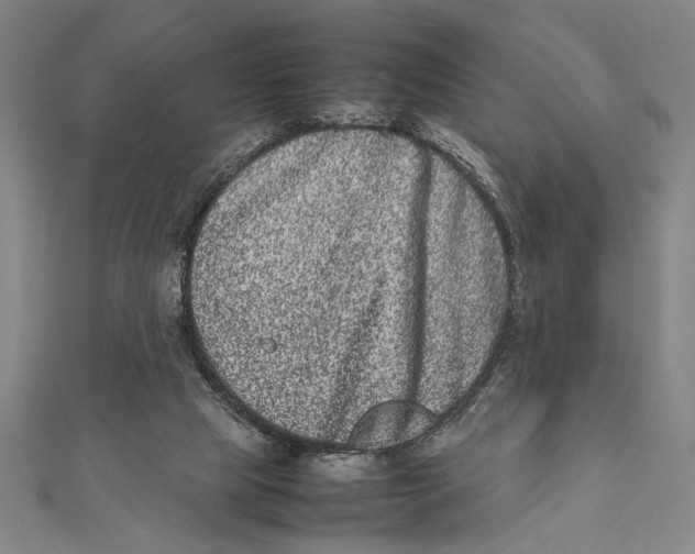 X0000111780065200908201118