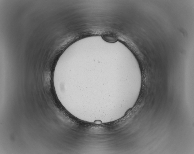 X0000111780066200908201119