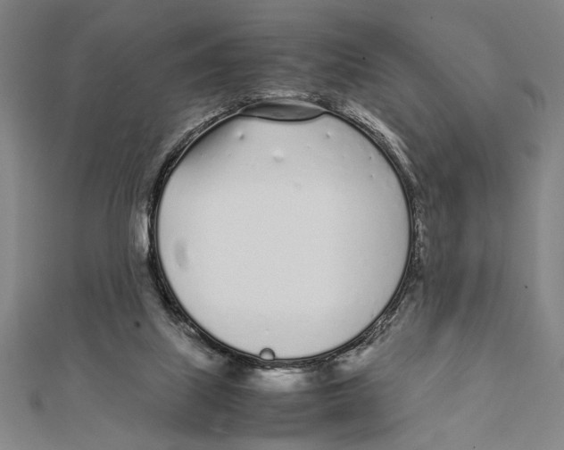 X0000111780067200908201119