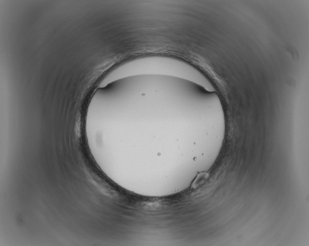X0000111780068200908201119