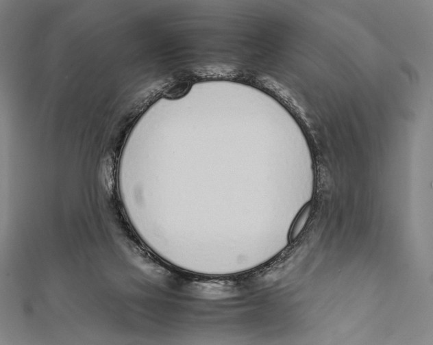 X0000111780069200908201119
