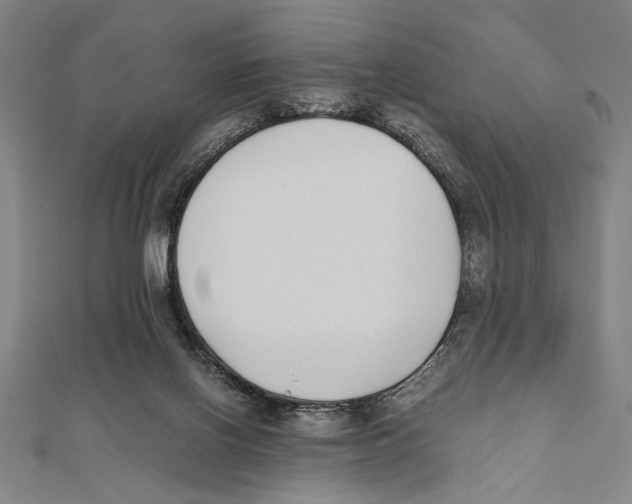 X0000111780070200908201119