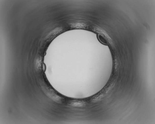 X0000111780073200908201119