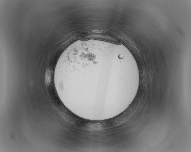 X0000111780075200908201119