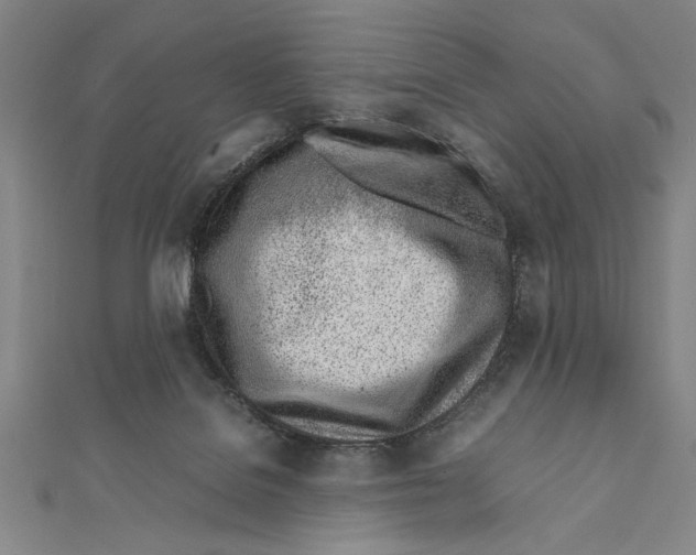 X0000111780076200908201119