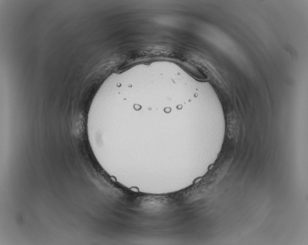 X0000111780077200908201119
