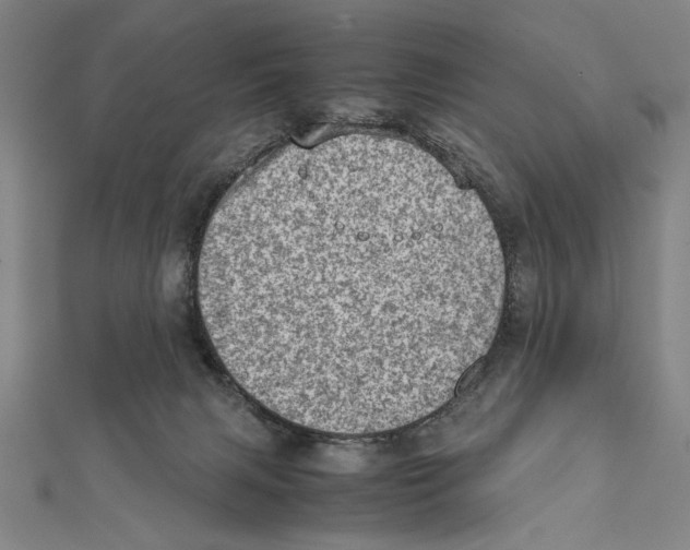 X0000111780079200908201119
