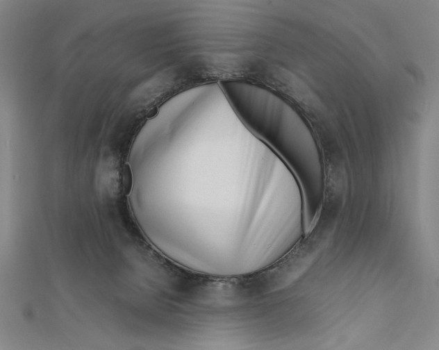 X0000111780080200908201119