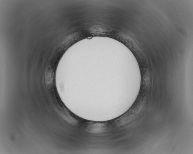 X0000111780081200908201119