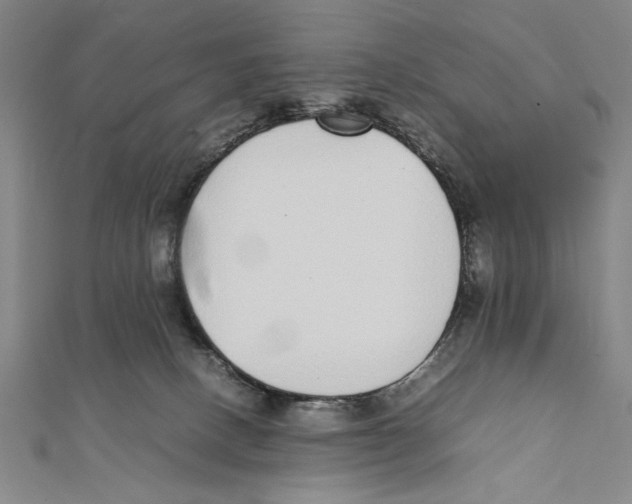 X0000111780082200908201119
