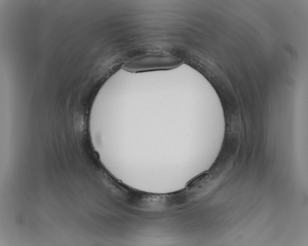 X0000111780084200908201119