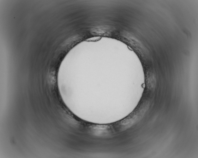 X0000111780085200908201119