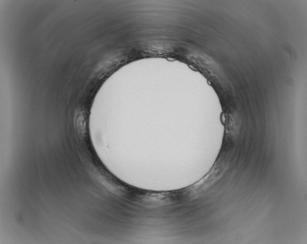 X0000111780086200908201119