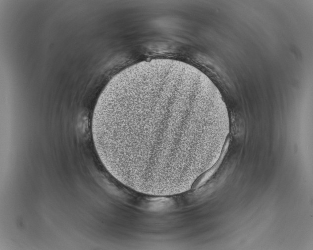X0000111780087200908201119