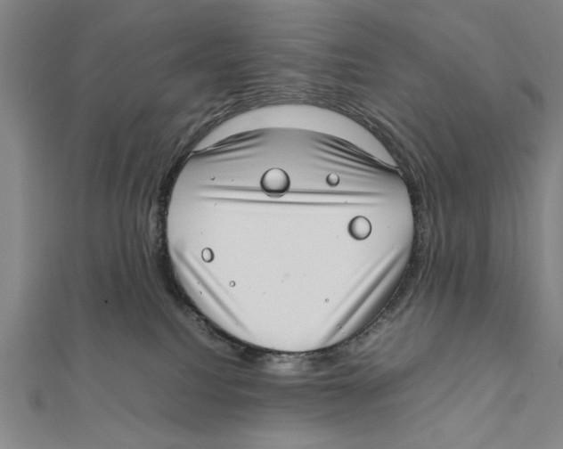 X0000111780088200908201119