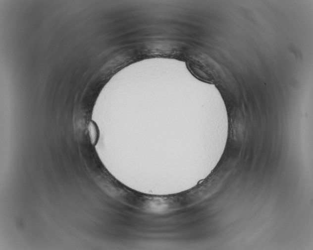 X0000111780091200908201119